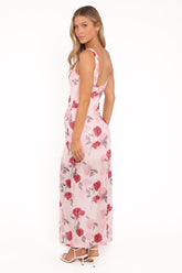 Brissa Maxi Dress - Pink Floral