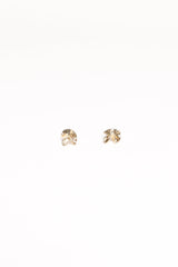 Honey Earrings - Gold